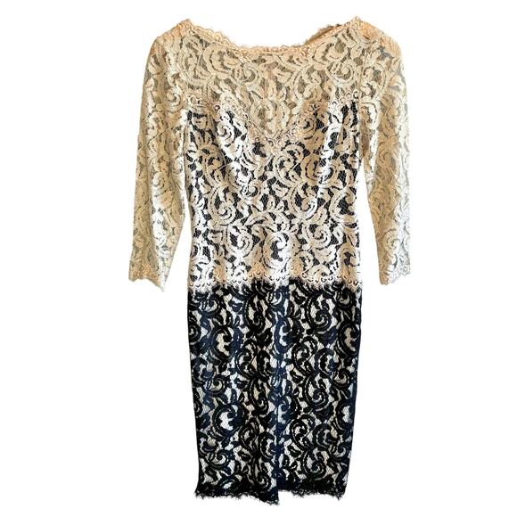 Tadashi Shoji Antique Lace Dress - 4 Petite - Picture 1 of 6